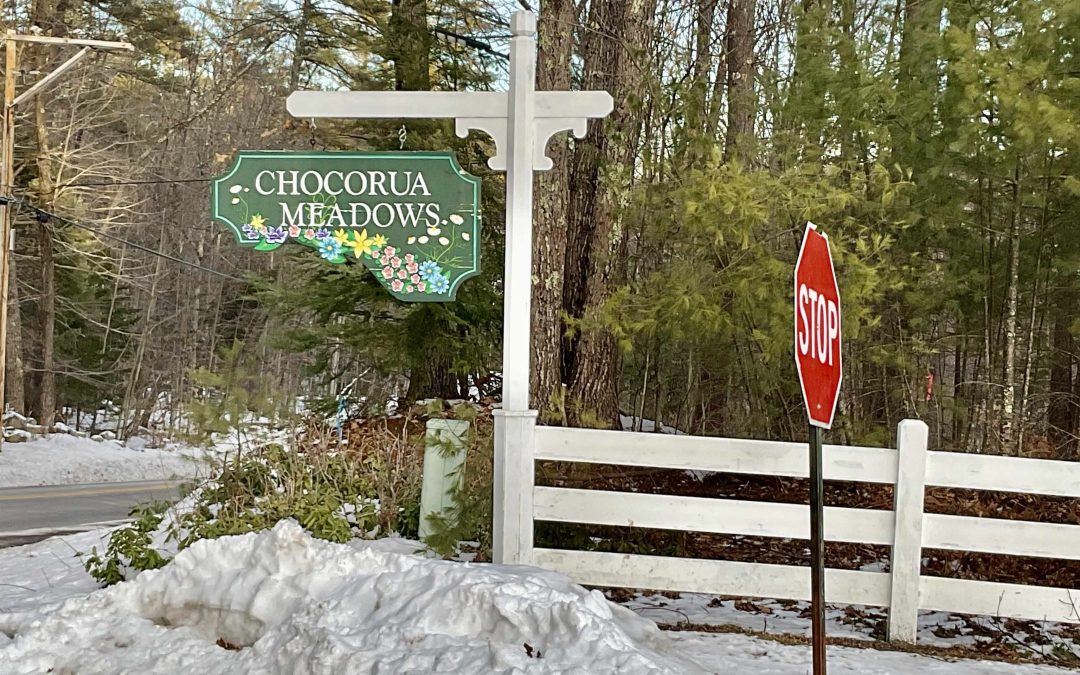 Closed | Lot 5 Benjamin Wentworth Drive, Tamworth, NH 03817