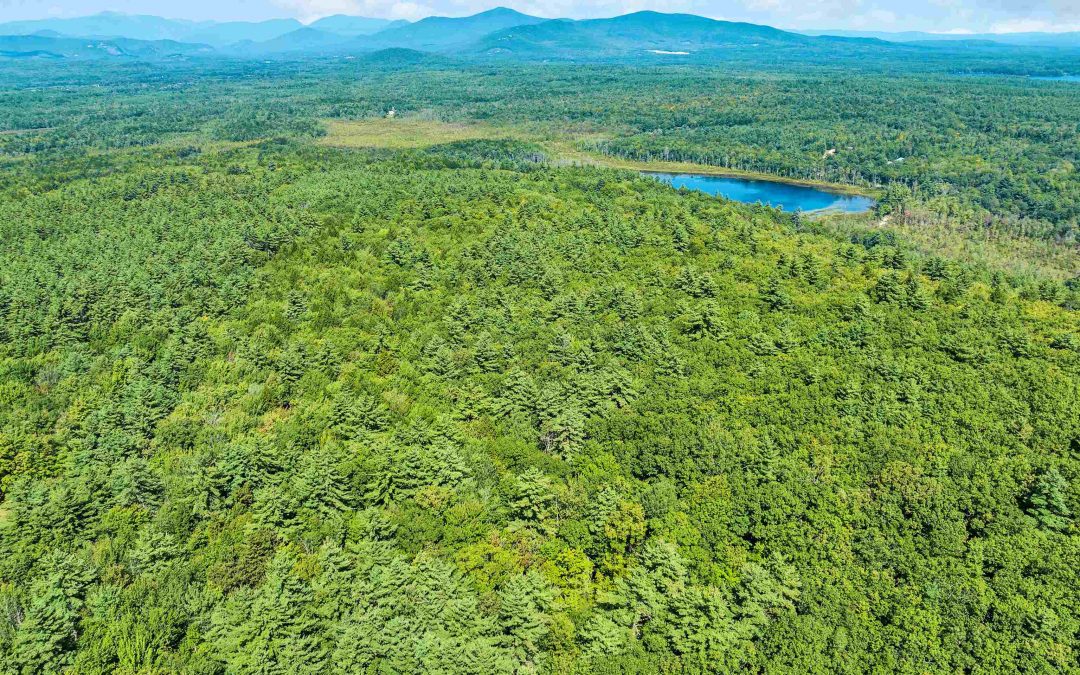 Closed | TBD Dollof Hill Road, Conway, NH 03818