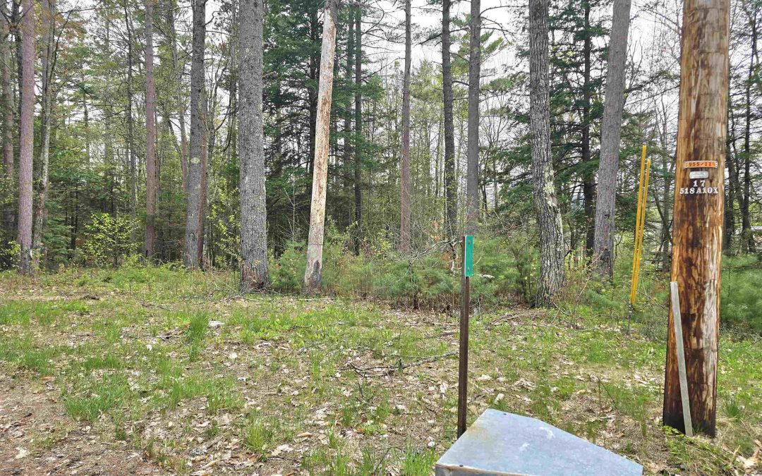 Active | Lot 260 Thompson Road, Conway, NH 03860