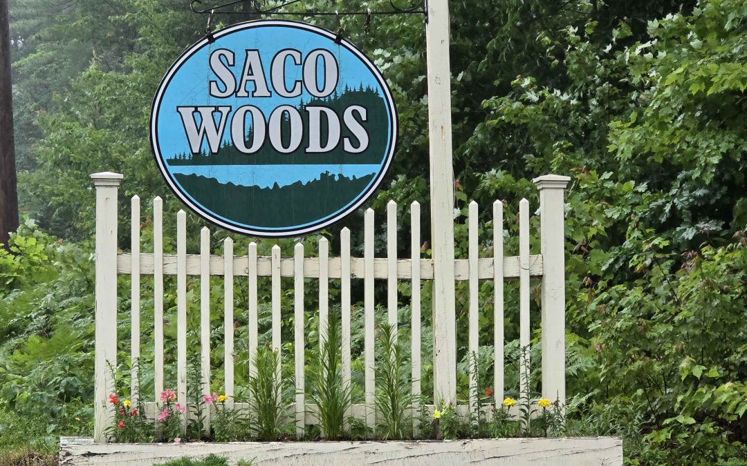 Active | Open House: Sun, Jul 26, 2026 11:00 AM – 12:30 PM | 19 Saco Street #58, Conway, NH 03813
